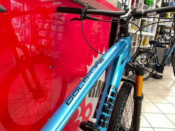 Bici RMC Gold-Line 29” azzurra. Bicicletta MTB Mountain Bike Verona