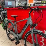 Bici elettrica