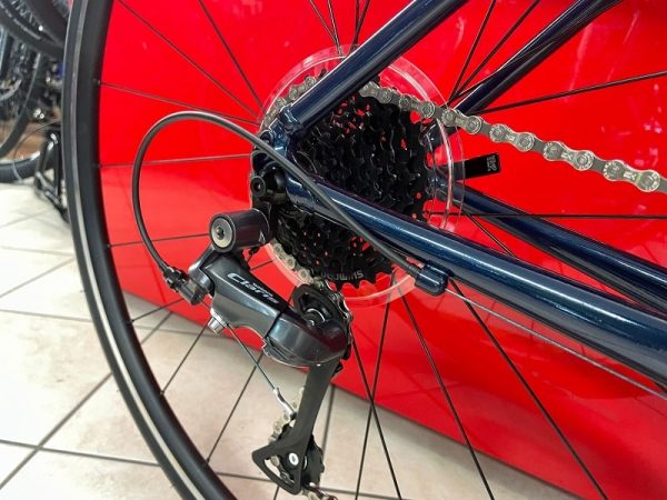 Trek Domane AL 2 blu 2022. Bici da strada Verona. Bicicletta da corsa