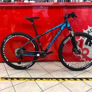 Torpado 27". MTB Mountain Bike Gara Bimbo e Ragazzo a Verona. RMC negozio biciclette