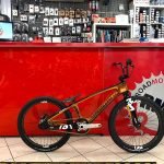 BMX Cruiser PROPHECY Scud EVO 3. Bici BMX Race Verona. RMC negozio di biciclette a Verona