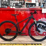 MTB Carbonio 29”. Bicicletta MTB Mountain Bike Verona - RMC negozio di bici Verona