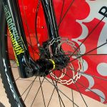 Bici RMC Gold-Line 29” verde. Bicicletta MTB Mountain Bike Verona