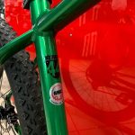 Bici RMC Gold-Line 29” verde. Bicicletta MTB Mountain Bike Verona