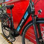 Torpado Mooby. Bici elettrica Verona. Bicicletta e-bike