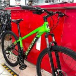 Bici MTB Brera Koban 29” Disc Verde - Bicicletta Mountain Bike Verona
