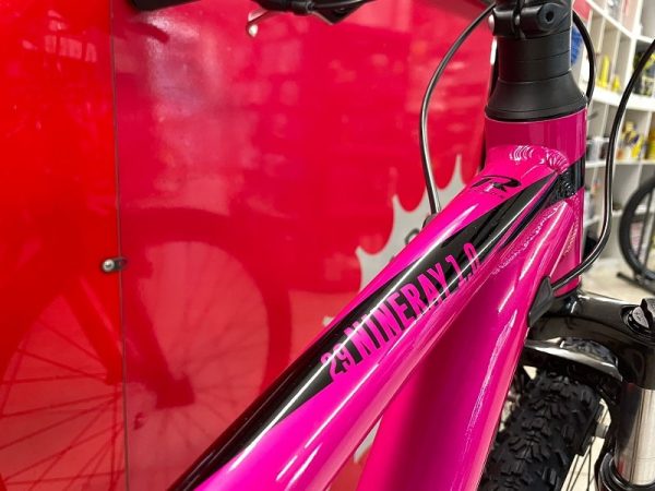 Bici Raymon NineRay 1.0 29” donna. Bicicletta MTB Mountain Bike Verona