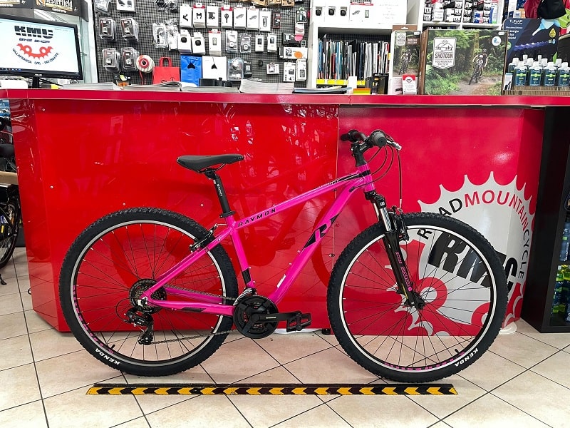 Raymon NineRay 1.0 29” donna. MTB Bici Mountain Bike Verona