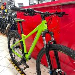 Bici Head X Rubi 29”. Bicicletta MTB Mountain Bike Verona