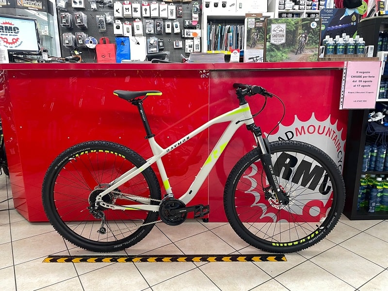 Raymond Hardray Seven 3.0 29”. Bici MTB Mountain Bike Verona