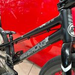 Bici Stay Strong personalizzata. Bicicletta BMX Race Verona