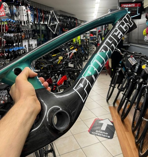 Forcelle e telaio Prophecy SCUD EVO 3 verde - BMX Race Verona