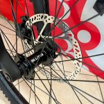 Ruota, raggi e freno a disco