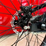 Raggi, ruota e freno a disco