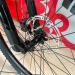 Ruota con freno a disco