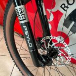 Ruota e freno a disco