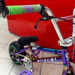 Mini Bmx Wildcat Disc Joker Green Neo