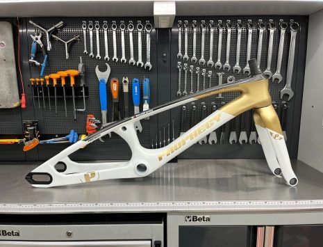 Forcelle e telaio Prophecy SCUD EVO 3 oro - BMX Race Verona