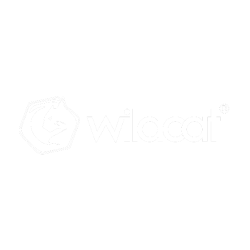 Wildcat