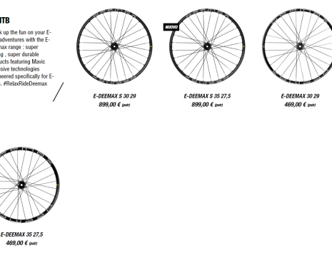 ruote mavic e mtb